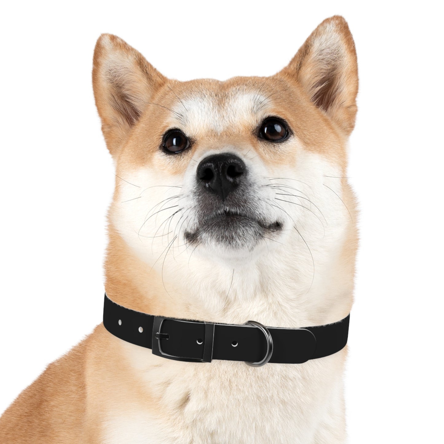 Kenji Dog Collar