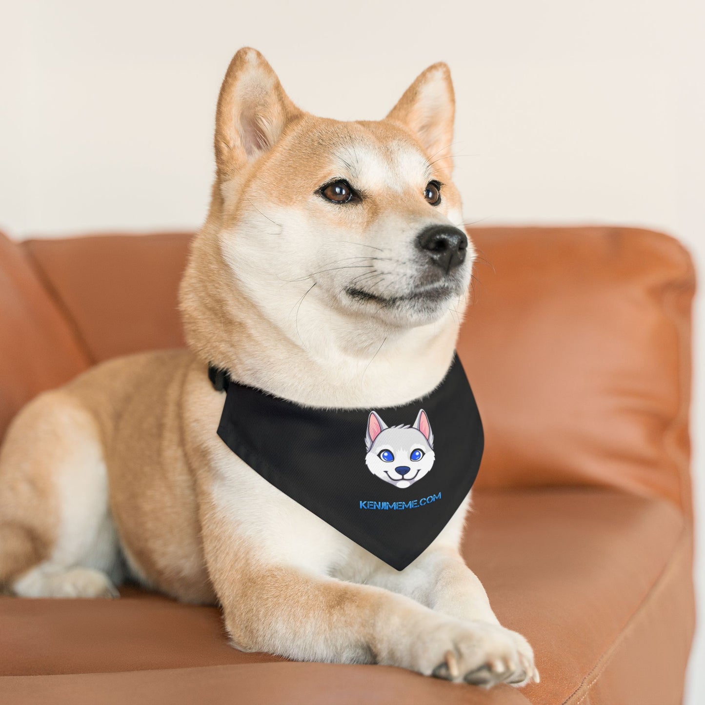 Kenji Pet Bandana Collar