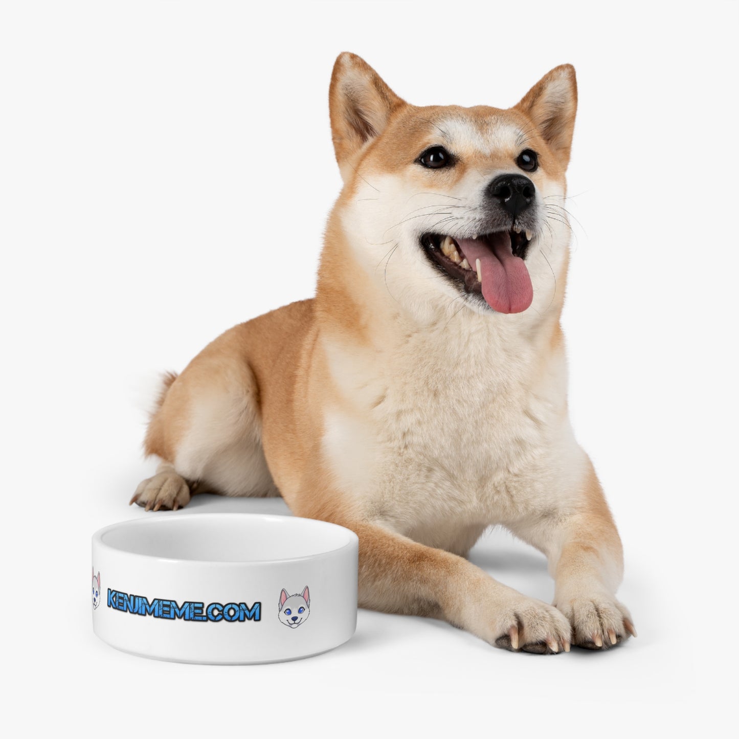 Kenji Pet Bowl