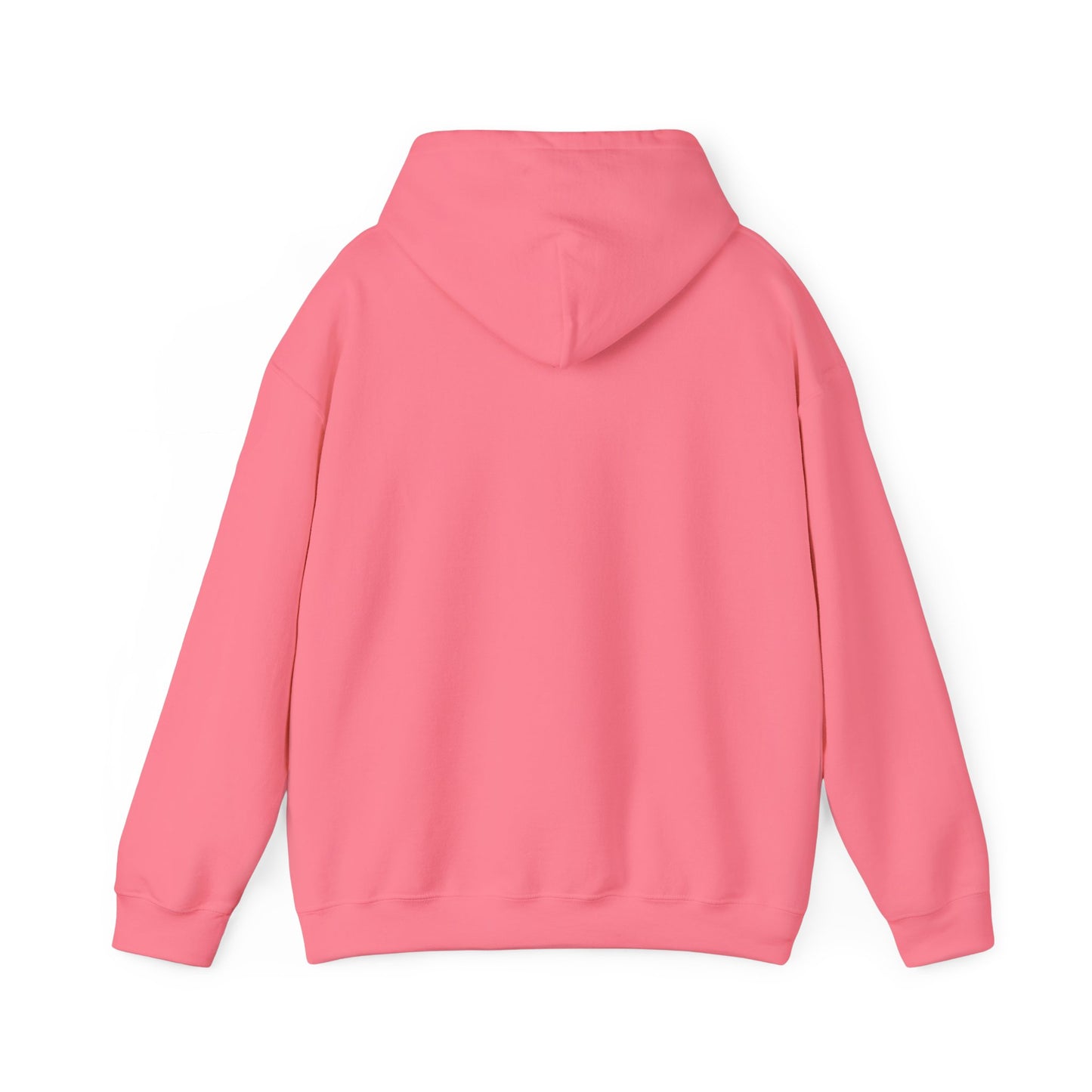 $Koinz Hooded Sweatshirt