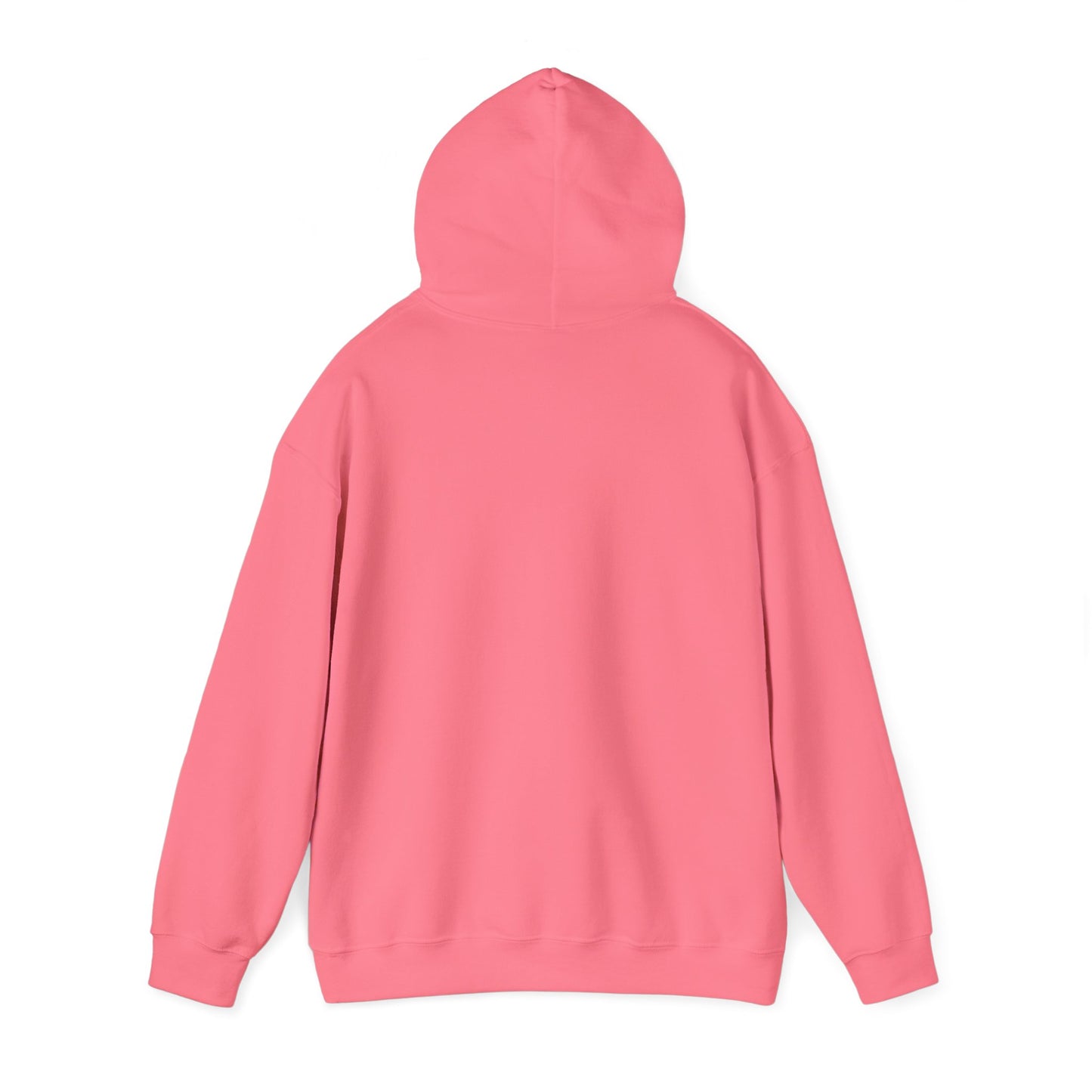 $Koinz Hooded Sweatshirt
