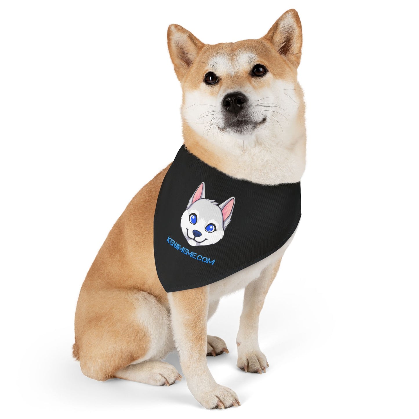 Kenji Pet Bandana Collar