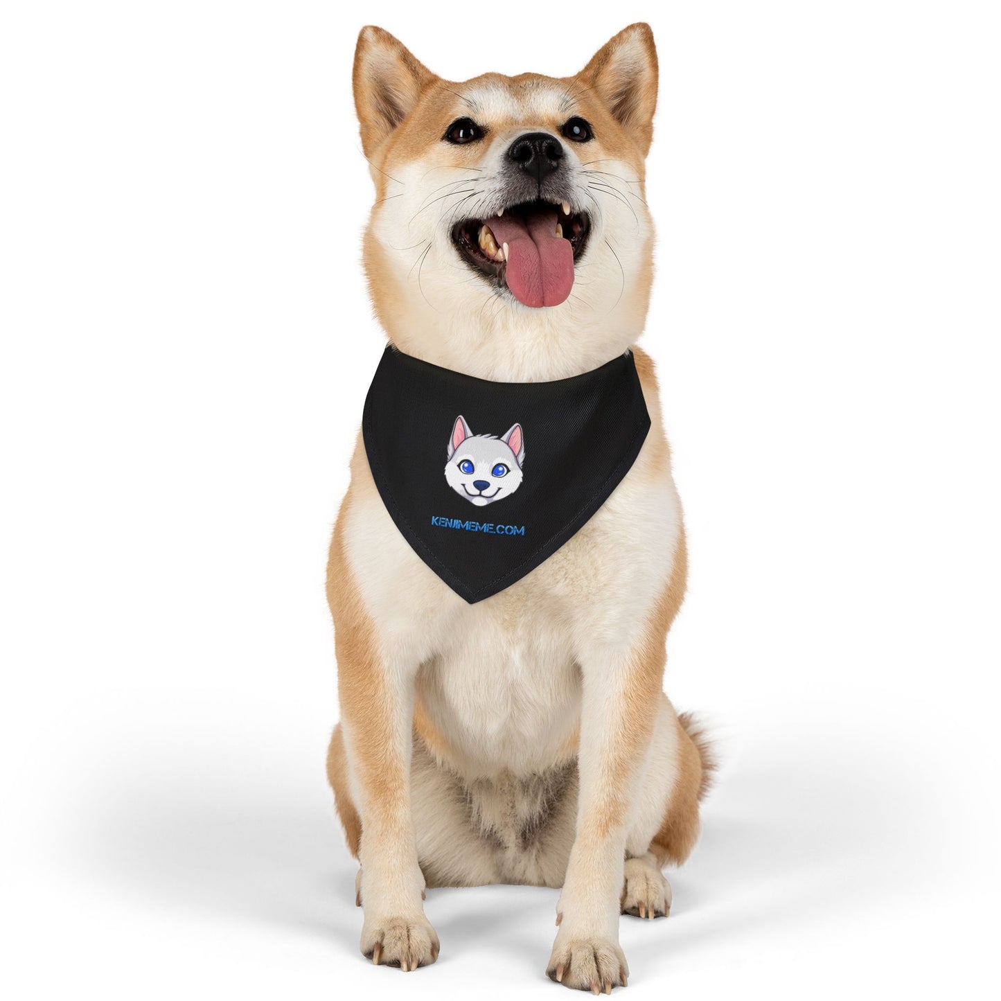Kenji Pet Bandana Collar