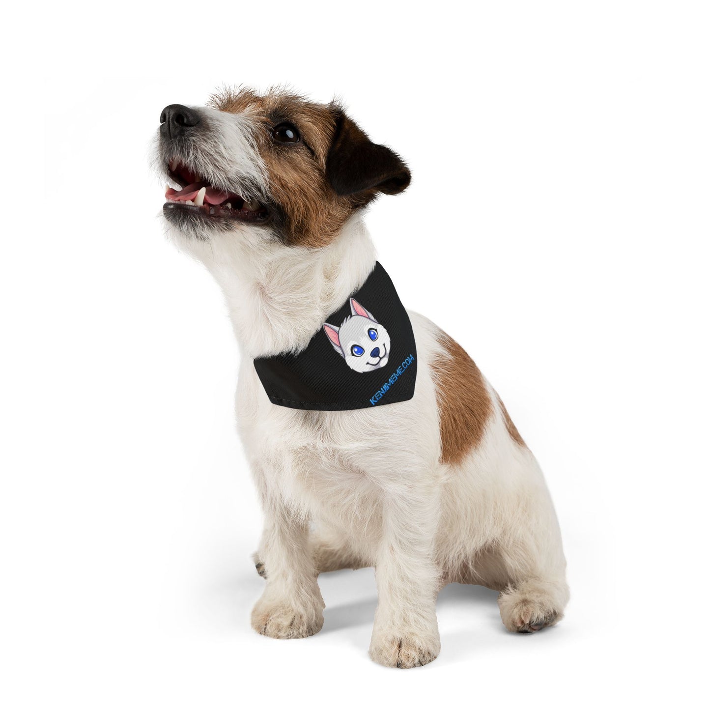 Kenji Pet Bandana Collar
