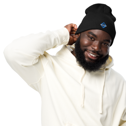 GeoLeaf Token ribbed beanie
