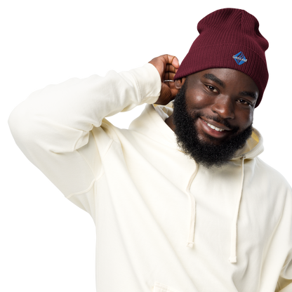 GeoLeaf Token ribbed beanie