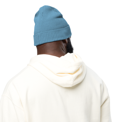 GeoLeaf Token ribbed beanie